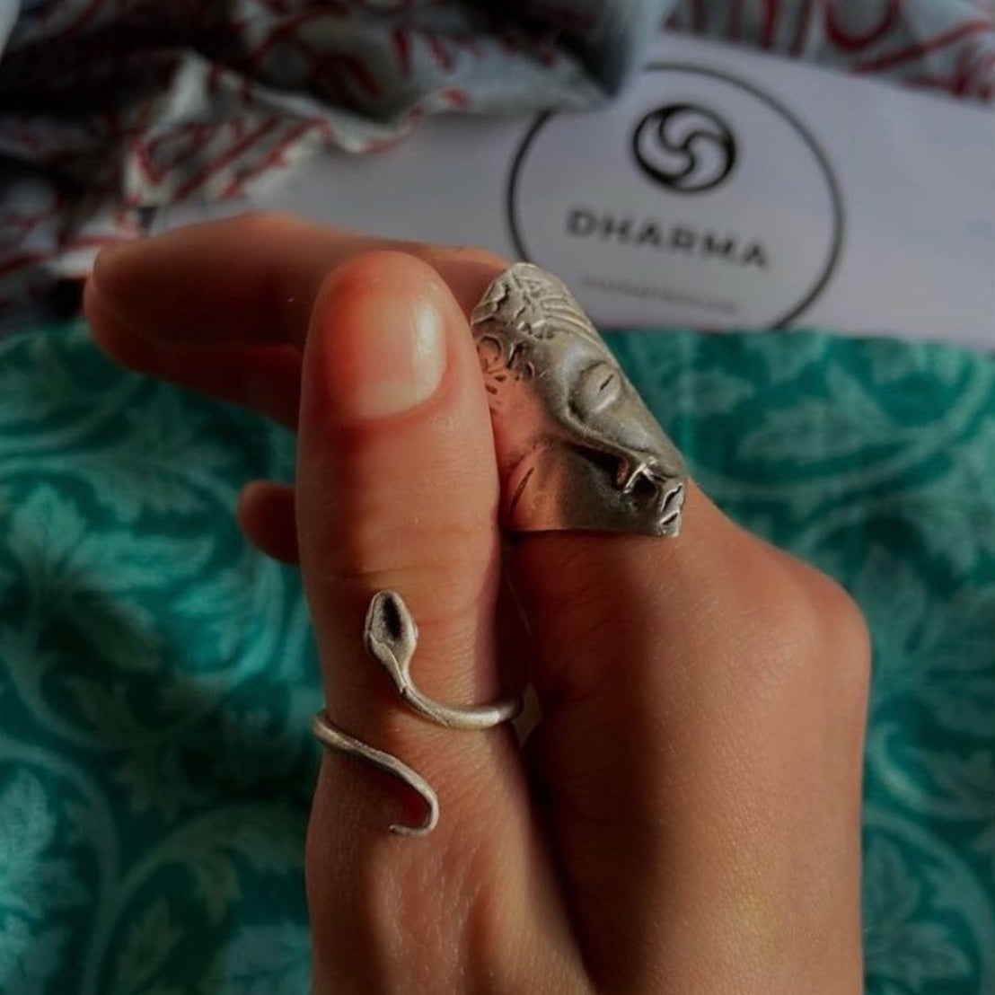 Anillo Snake